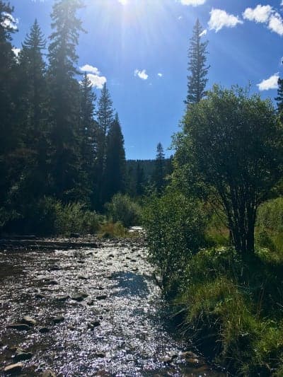 Jacks Creek Horse Camp