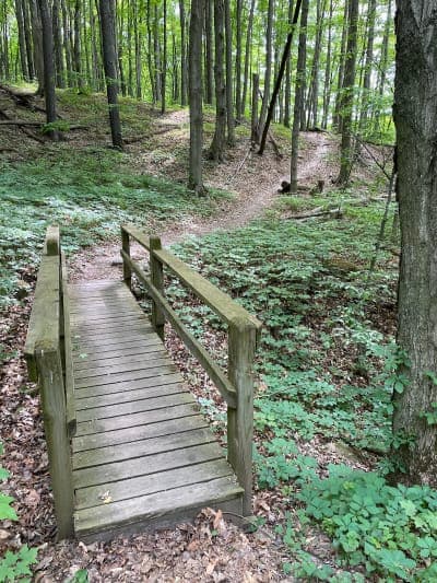 Ionia State Recreation Area