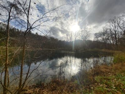 Indian Springs Wildlife Management Area