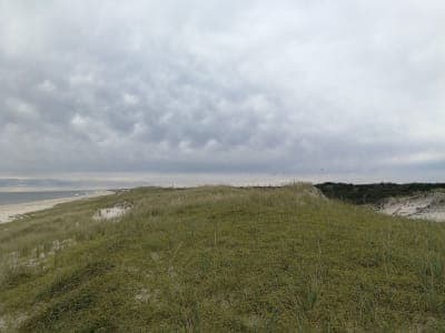 Island Beach State Park