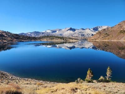 Inyo National Forest