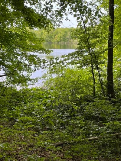 Ionia State Recreation Area