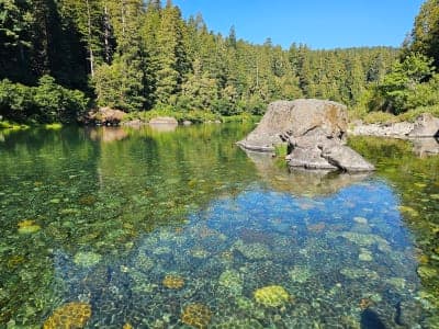 Jedediah Smith Redwoods State Park