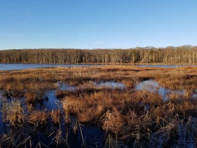 James L. Goodwin State Forest