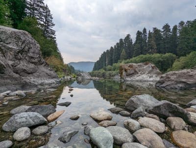 Jedediah Smith Redwoods State Park