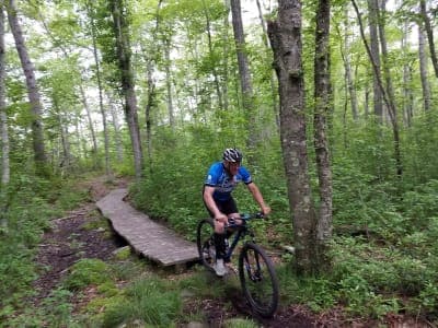 James L. Goodwin State Forest