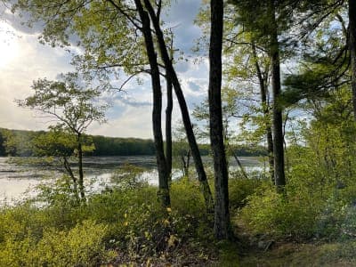 James L. Goodwin State Forest