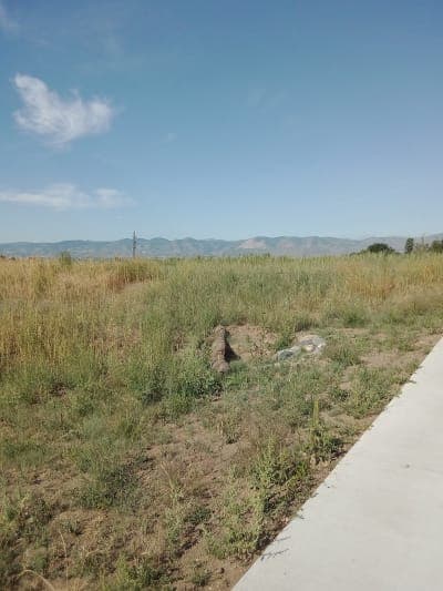 Jefferson County Open Space parks