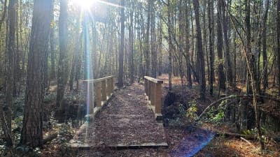 Jericho Horse Trail