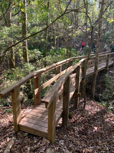 Jennings State Forest