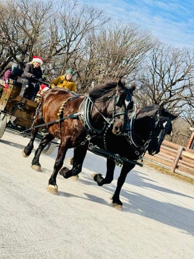 Jester Park Equestrian Center