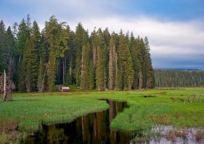 Joe Graham Horse Camp