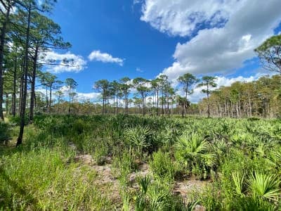 Jonathan Dickinson State Park