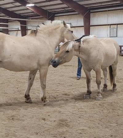 Jester Park Equestrian Center