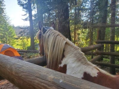 Joe Graham Horse Camp