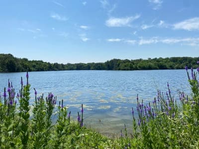 Jim Edgar Panther Creek State Fish & Wildlife Area