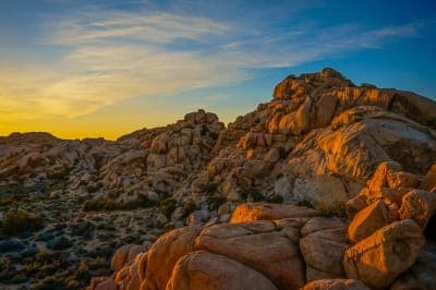 Joshua Tree National Park