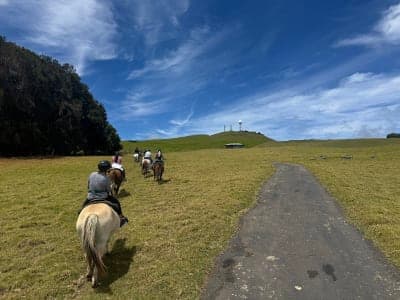 Kahua Ranch / Naʻalapa Stables