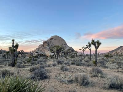 Joshua Tree National Park