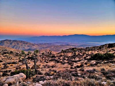 Joshua Tree National Park