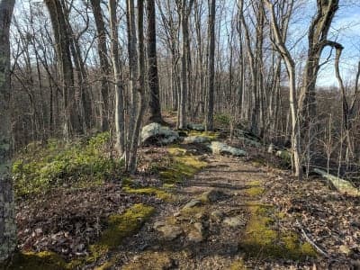 Kanawha State Forest