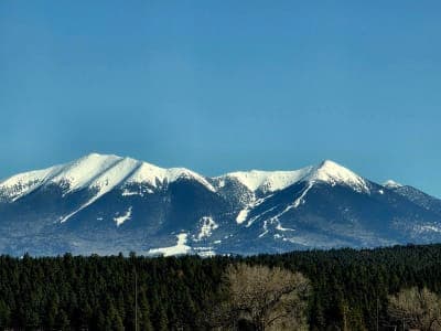 Kaibab National Forest