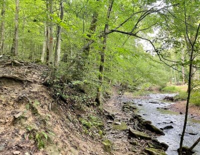 Kanawha State Forest