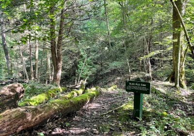 Kanawha State Forest