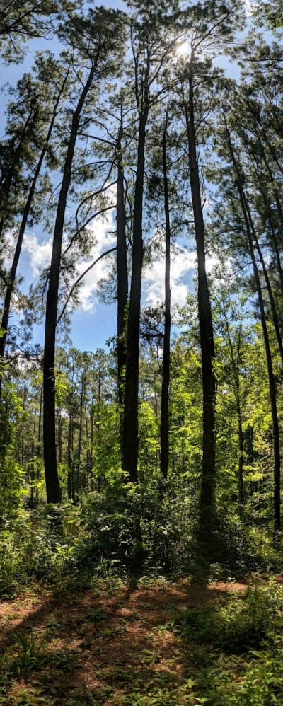Kelly's Pond Campground