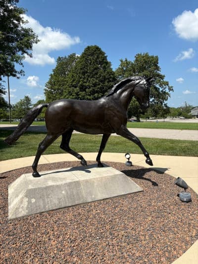 Kentucky Horse Park