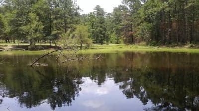 Kelly's Pond Campground