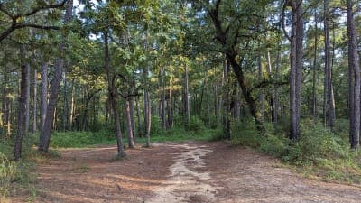 Kelly's Pond Campground