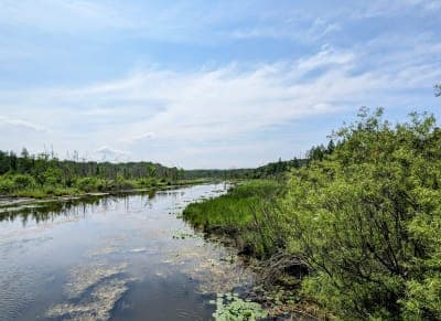 Kettle Moraine State Forest – Loew Lake Unit
