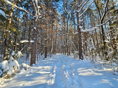 Kettle Moraine State Forest – Northern Unit