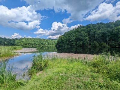 Kentucky Ridge State Forest