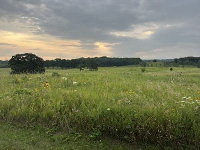 Kettle Moraine State Forest – Lapham Peak Unit