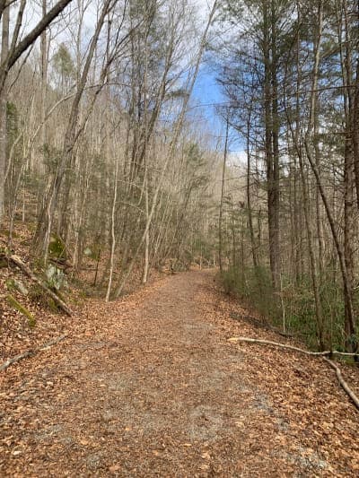 Kentucky Ridge State Forest