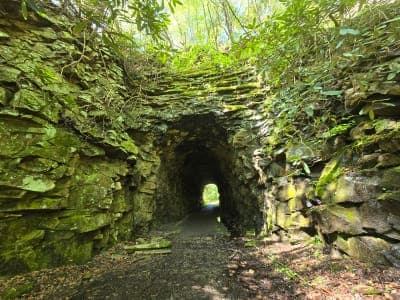 Kentucky Ridge State Forest
