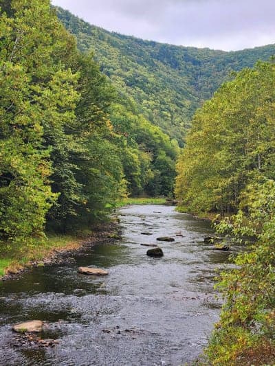 Kettle Creek State Park / Sproul State Forest Loop Country