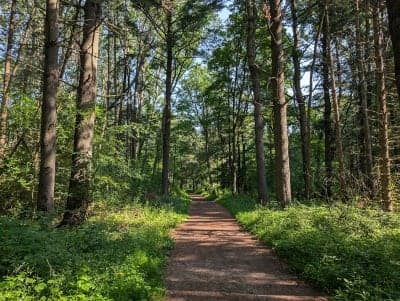 Kettle Moraine State Forest – Lapham Peak Unit