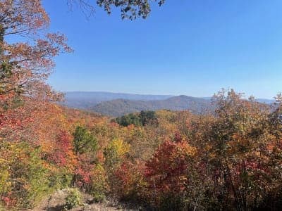Kentucky Ridge State Forest