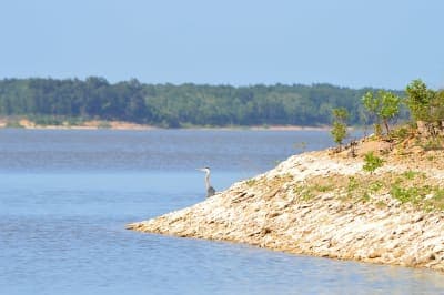 Kiamichi Park – Hugo Lake Equestrian Area