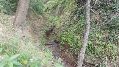 Kiamichi Park – Hugo Lake Equestrian Area
