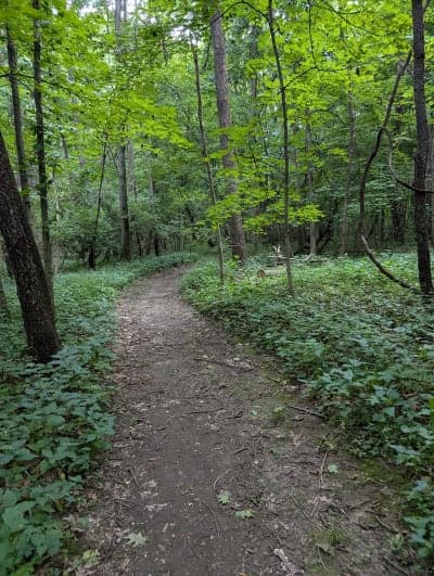 Kickapoo State Recreation Area