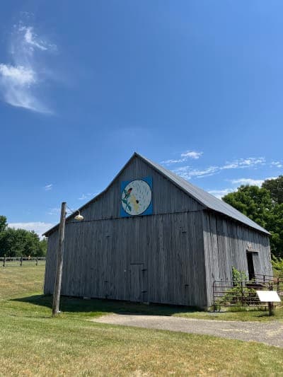 Kinder Farm Park