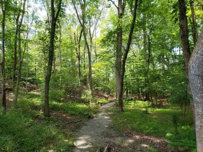 King’s Landing Park