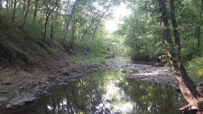 Knob Noster State Park