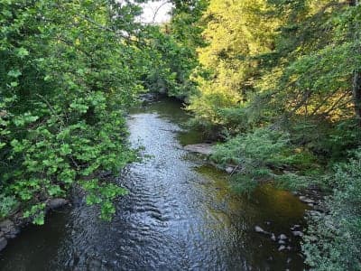 Lackawanna State Park