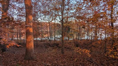 Lake Anna State Park