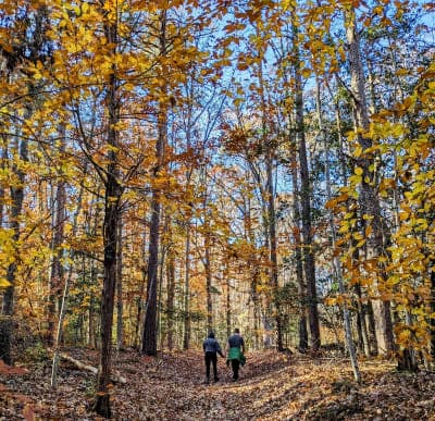 Lake Anna State Park